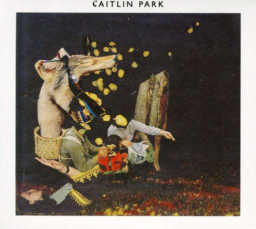 Cover for Caitlin Park · Milk Annual (CD) (2011)