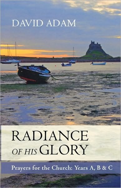 Cover for Adam, David, The Revd Canon · The Radiance of His Glory: Prayers for the Church - Years a, B and C (Paperback Book) (2009)