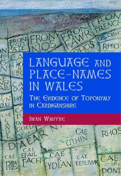 Cover for Iwan Wmffre · Language and Place-names in Wales (Hardcover Book) (2003)