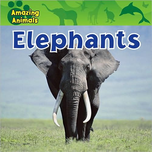 Cover for Sarah Albee · Elephants (Hardcover Book) (2008)