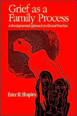 Cover for Ester R. Shapiro · Grief as a Family Process: A Developmental Approach to Clinical Practice (Gebundenes Buch) (1994)
