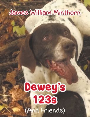 Dewey's 123s - James William Minthorn - Books - Christian Faith Publishing, Inc - 9781098064969 - April 27, 2021