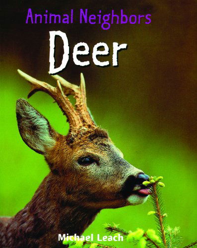 Cover for Michael Leach · Deer (Animal Neighbors) (Hardcover Book) (2008)