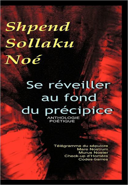 Cover for Shpend Sollaku No · Se Reveiller Au Fond Du Precipice (Inbunden Bok) (2011)