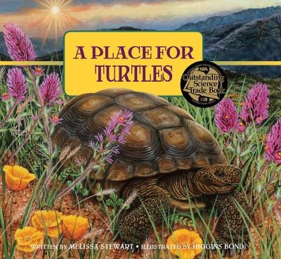 Cover for Melissa Stewart · A Place for Turtles - A Place For. . . (Bok) (2019)
