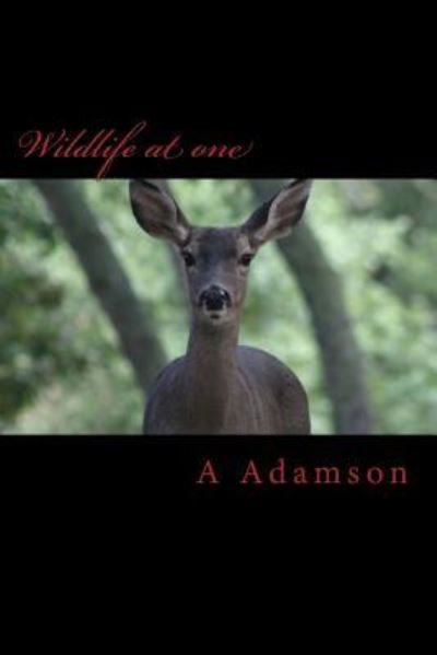 Cover for A A Adamson · Wildlife at one (Taschenbuch) (2018)