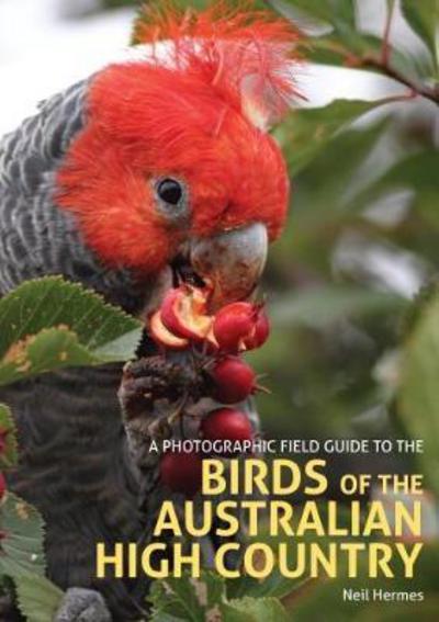 Cover for Neil Hermes · A Photographic Field Guide to the Birds of the Australian High Country (Paperback Book) (2018)