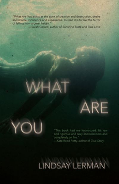 What Are You - LIndsay Lerman - Books - Clash Books - 9781944866969 - June 14, 2022