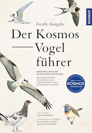 Cover for Lars Svensson · Große Ausgabe: Der Kosmos-Vogelführer (Book) (2024)