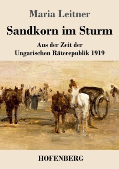 Sandkorn im Sturm: Aus der Zeit der Ungarischen Raterepublik 1919 - Maria Leitner - Books - Hofenberg - 9783743740969 - July 29, 2021