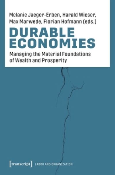 Cover for Melanie Jaeger-Erben · Durable Economies (Book) (2023)