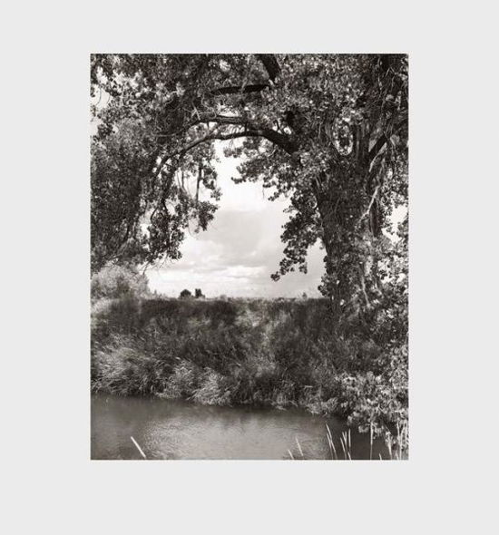 Cover for Robert Adams · Robert Adams: Cottonwoods (Gebundenes Buch) (2018)