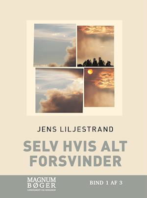 Cover for Jens Liljestrand · Selv hvis alt forsvinder (Storskrift) (Bound Book) [2e uitgave] (2022)