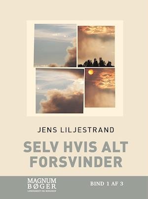 Cover for Jens Liljestrand · Selv hvis alt forsvinder (Storskrift) (Bound Book) [2nd edition] (2022)