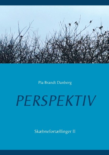 Cover for Pia Brandt Danborg · Perspektiv (Paperback Book) [1e uitgave] (2018)