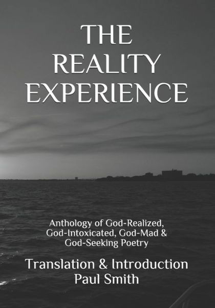 Cover for Paul Smith · The Reality Experience (Paperback Book) (2021)