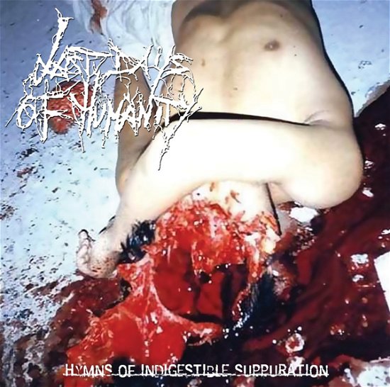 Cover for Last Days of Humanity · Hymns of Indigestible Suppuration (LP) (2023)