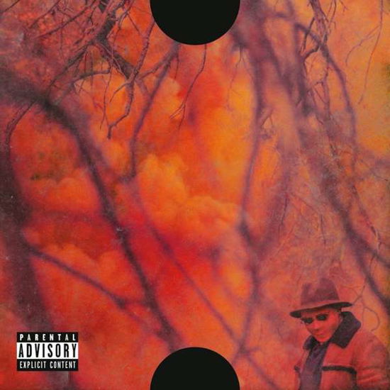 Blank Face - Schoolboy Q - Music - RAP / HIP HOP - 0602557029970 - October 28, 2016