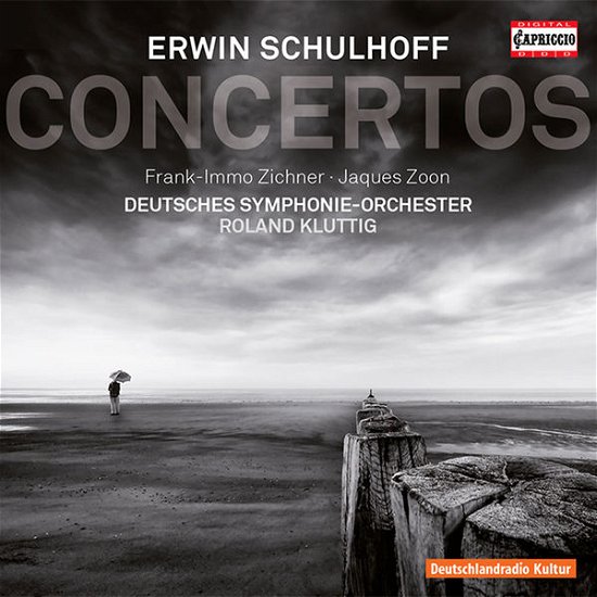 Cover for E. Schulhoff · Concertos (CD) [Japan Import edition] (2014)