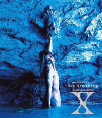 Visual Shock Vol.3.5 Say Anything X Ballad Collection - X - Musik - SONY MUSIC DIRECT INC. - 4560427444970 - 24. oktober 2018