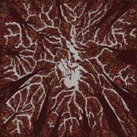 Cover for Trash Boat · Crown Shyness (CD) [Japan Import edition] (2018)