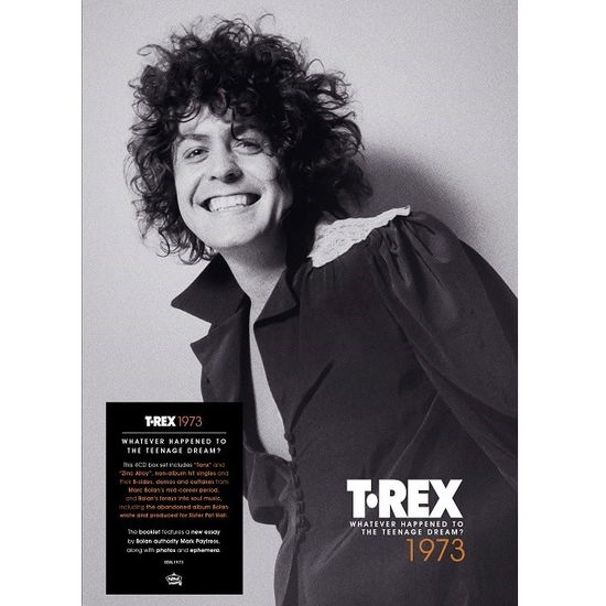 Whatever Happened To The Teenage Dream? - T. Rex - Musiikki - EDSEL BOX SET - 5014797908970 - perjantai 26. toukokuuta 2023