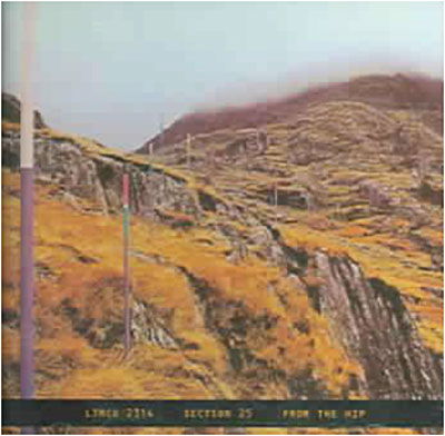 Cover for Section 25 · From The Hip (CD) (2002)