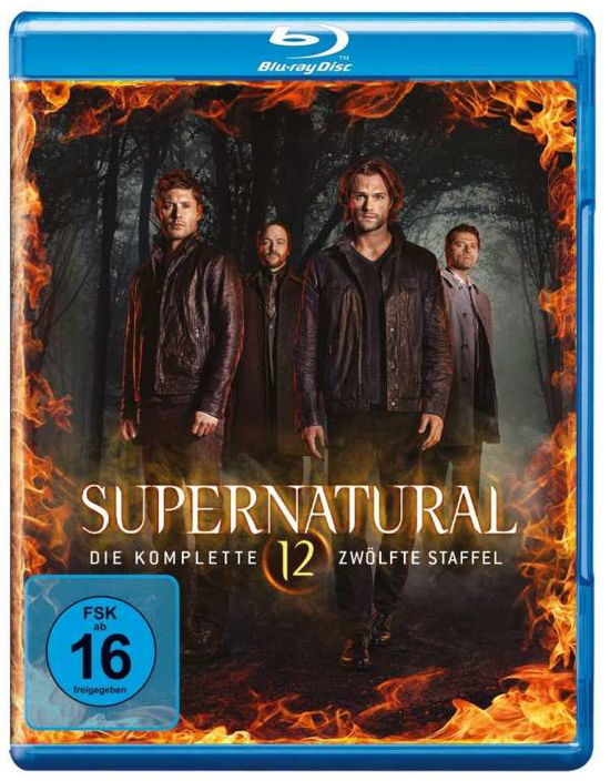 Cover for Jared Padalecki,jensen Ackles,misha Collins · Supernatural: Staffel 12 (Blu-ray) (2018)