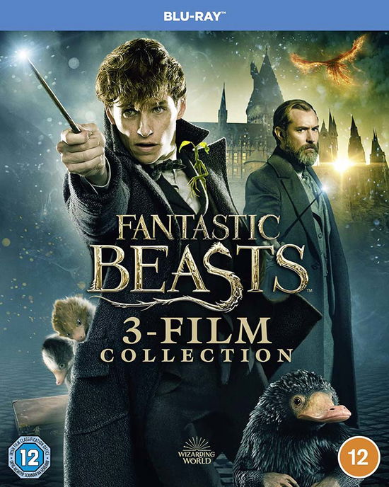 Cover for Fantastic Beasts - 3 Film Coll · Fantastic Beasts Complete 3 Movie Collection (Blu-Ray) (2022)