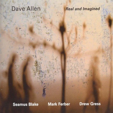 Cover for Dave Allen · Real &amp; Imagined (CD) (2007)