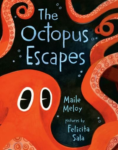 Cover for Maile Meloy · The Octopus Escapes (Tavlebog) (2023)
