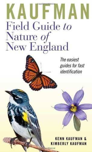 Cover for Kaufman Kenn Kaufman · Kaufman Field Guide to Nature of New England - Kaufman Field Guides (Buch) (2012)