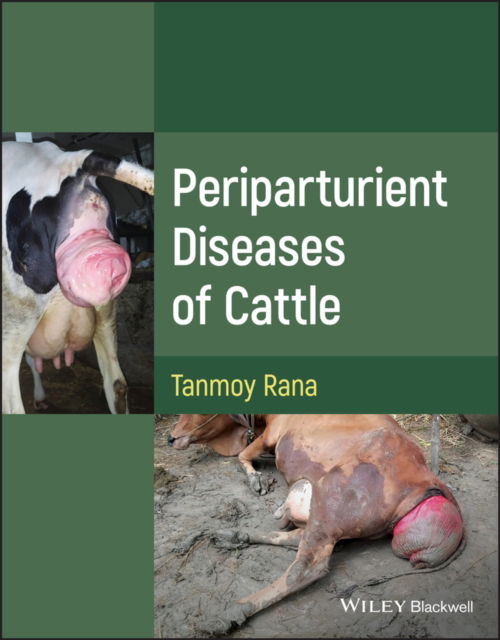 Rana, Tanmoy (West Bengal University of Animal & Fishery Sciences, West Bengal, India) · Periparturient Diseases of Cattle (Hardcover Book) (2024)