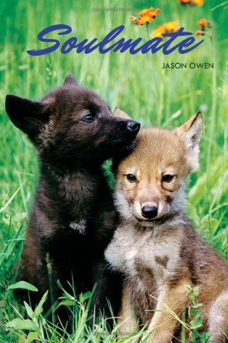 Cover for Jason Owen · Soulmate (Innbunden bok) (2011)