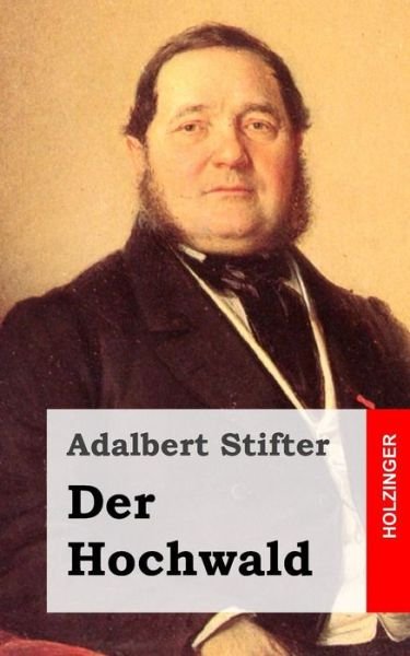Cover for Adalbert Stifter · Der Hochwald (Paperback Book) (2013)