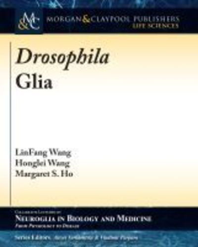 Cover for LinFang Wang · Drosophila Glia - Colloquium Series on Neuroglia in Biology and Medicine: From Physiology to Disease (Paperback Book) (2019)