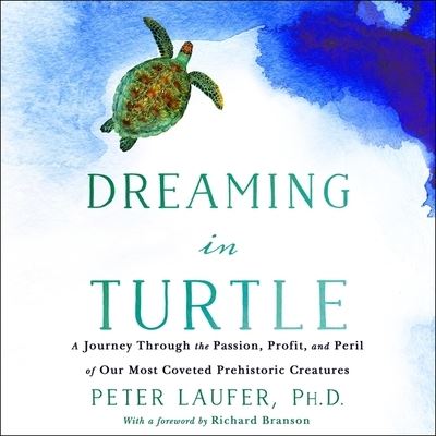 Cover for Peter Laufer · Dreaming in Turtle (CD) (2018)