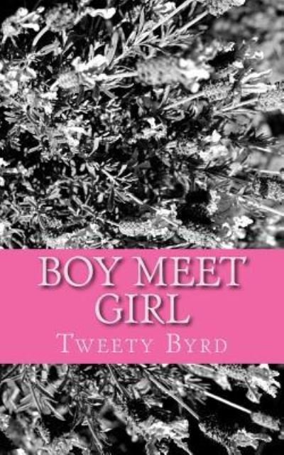 Cover for Tweety Byrd · Boy meet Girl (Paperback Book) (2018)