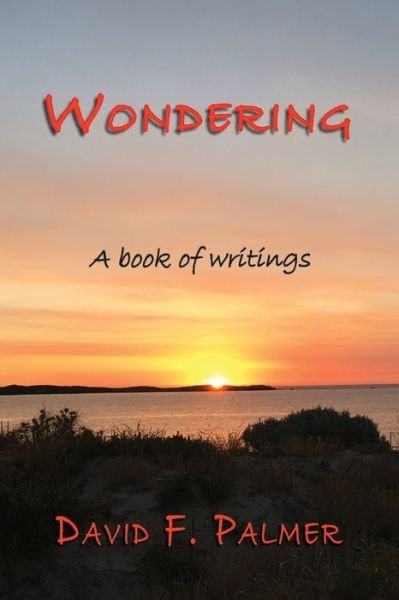 Cover for David Palmer · Wondering (Book) (2021)