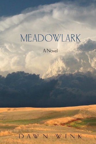 Cover for Dawn Wink · Meadowlark (Paperback Book) (2013)