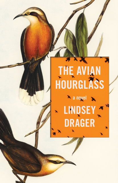 Cover for Lindsey Drager · The Avian Hourglass (Paperback Book) (2024)