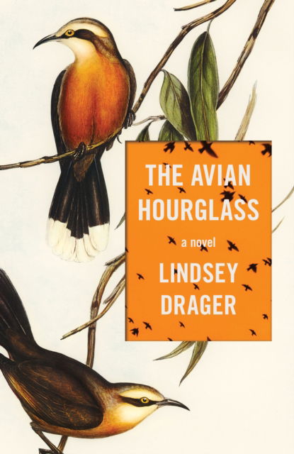 The Avian Hourglass - Lindsey Drager - Books - Dzanc Books - 9781950539970 - September 26, 2024