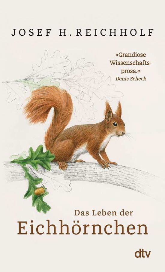 Das Leben der Eichhörnchen - Josef H. Reichholf - Books - dtv Verlagsgesellschaft - 9783423349970 - August 20, 2021