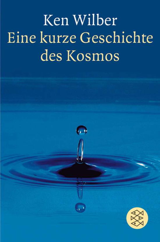 Cover for Ken Wilber · Fischer TB.13397 Wilber.Kurze Geschicht (Buch)