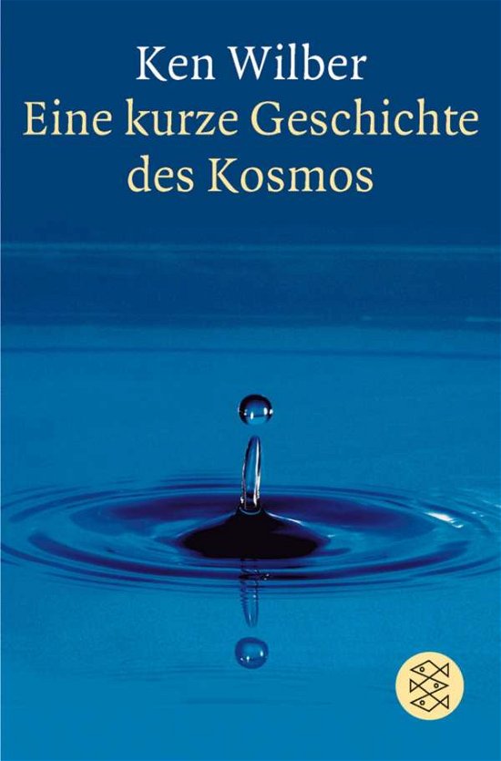 Cover for Ken Wilber · Fischer TB.13397 Wilber.Kurze Geschicht (Bog)
