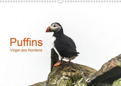 Cover for Jacob · Puffins - Vögel des Nordens (Wand (Bog)