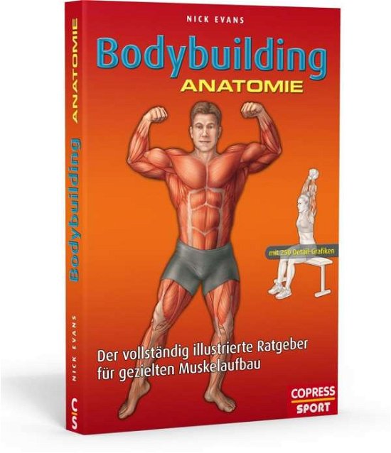 Cover for Evans · Bodybuilding Anatomie (Bog)