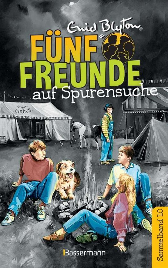 Cover for Blyton · Fünf Freunde auf Spurensuche - D (Bog)