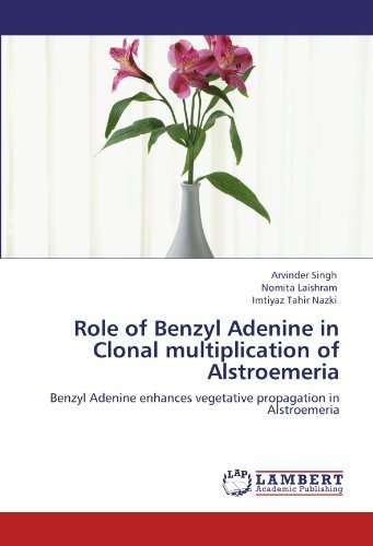 Cover for Imtiyaz Tahir Nazki · Role of Benzyl Adenine in Clonal Multiplication of Alstroemeria: Benzyl Adenine Enhances Vegetative Propagation in Alstroemeria (Paperback Book) (2011)