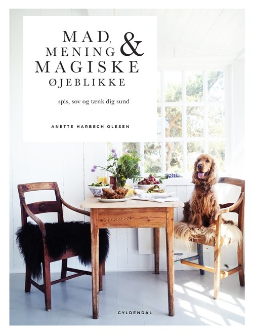 Cover for Anette Harbech Olesen · Mad, mening og magiske øjeblikke (Bound Book) [1.º edición] (2018)